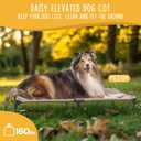 CANINE CANYON Daisy Cot, Medium Foldable Elevated Dog Bed, Portable Raised Outdoor Folding Dog Cot, Cooling, Chew Proof, Waterproof, Heavy Duty Up to 160 lbs for Camping/Home, Brown, 32"x 19"x6"