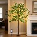 BAOLITVINE Lighted Ficus Tree 6FT 264 LED Fairy Lights, Artificial Twig Tree with Lights for Home Living Room Spring Christmas Decoration Indoor Outdoor