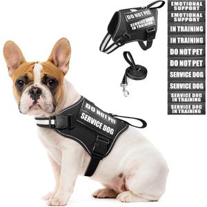 Service Dog Vest Harness and Leash Set+10 Patches,No Pull&Easy Walk Reflective Dog Harness with Soft Padded Handle for Training/Everyday,Fit Small/Medium/Large/Extra-Large Dogs (Black S)