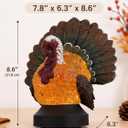 Thanksgiving Turkey Snow Globe Lantern, Lighted Fall Tabletop Decoration with Swirling Glitter, Battery & USB Powered Resin Turkey Decor with Timer for Home, Mantel and Harvest Table