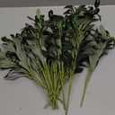 Olive Stems 6 Pcs 18 inch Artificial Olives Green Leaves Picks, Spring Branches Decor for Vase, Greenery Vase Filler Home Decoration Indoor