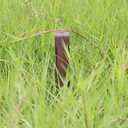 30 PCS Brown Landscape Edging Garden Stakes, 10 Inch Landscaping Anchoring Spikes Heavy Duty Plastic Garden Netting Ground Stakes Brown for Edging & Terrace Board