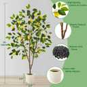 Warmplants Artificial Lemon Tree, 5ft Tall Fake Lemon Silk Plant with White Planter, Faux Lemon Plastic Fruit Tree for Indoor Home Decor Office Garden