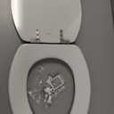 MAYFAIR 1844BNA 000 Toilet Seat with Brushed Nickel Hinges will Never Come Loose, ELONGATE, White - Brushed Nickel