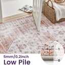 DEXI Area Rugs for Living Room, 4x6 Washable Low Pile Vintage Traditional Rug for Bedroom, Non Slip Indoor Carpet for Dining Office Nursery, Pink White