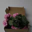 CISDUEO 4 Pcs Artificial Geranium Flowers for Outdoors Silk Geraniums Flowers Outdoor Purple Pink Faux Geraniums for Planters Outdoor Decor Indoor Garden Patio Grave Cemetary Table Centerpiece