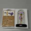 Childom Valentines Gifts for Her,Birthday Gifts for Women,Valentines Day Flowers Gifts for Mom,Women,Her,Wife,Grandma,Light Up Rose in Glass Dome,Colorful Rainbow Mothers Day Flowers for Delivery