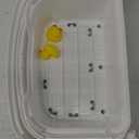 Toddler Step Stool,2 Step Stools for Kids with Anti-Slip Surface and Rubber Bottom, Kids Step Stool Poop Stool for Toilet Potty Training, Bathroom, Kitchen(Include 2 Ducks) (Gray)