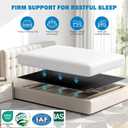 Bunkie Board Twin Size (38x75''), Heavy Duty 10mm Bed Boards for Slatted Frame, Sleeper Sofa Support Board to Stop Sagging Mattress, Breathable, Noise Minimizing, Moisture Resistant, Black