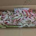 Tall Faux Plastic Silk Plants Large Artificial Bamboo Tree Indoor Outdoor Realistic Floor Plant Potted Fake Nandina Trees for Home Living Room Office Front Porch Patio decoracion Housewarming Gift
