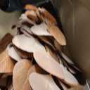 Fall Decor Artificial Eucalyptus Stems 6Pack 35.4" Autumn Leaves Branches
Fall Floral Picks for Home Table Fireplace Mantel Indoor Farmhouse Thanksgiving Decorations