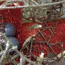 Hausse Lighted Christmas Reindeer, 47" Pre-Lit 3D Glitter Gold Standing Xmas Male Deer, Light Up with 105 LED Lights, Outdoor Xmas Yard Displays, Plug in for Party New Year Winter Patio Lawn Garden