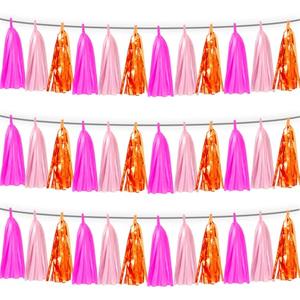 3P Hot Pink Orange LightPink Tassel Banner Garland Foil Fringe Tinsel Streamer Banner Backdrop for Parade Floats, Wall Hanging Curtain Parade Floats, Graduation Decorations, Wedding Party Decoration Hot Pink Orange LightPink