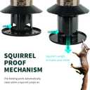 Squirrel-Proof Bird Feeder for Outdoor Wild Bird