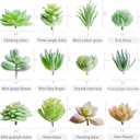 HappyHapi 12 Pcs Artificial Succulents Mini Fake Plants Unpotted Faux Succulent for Craft, Small Plastic Succulents Assortment in Flocked Green Floral Decor for Party, Cake, Garden & Outdoor
