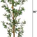 Potted Olive Artificial Tree - 8' - Green