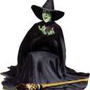 Cardboard People The Wicked Witch Melting Cardboard Cutout - Wizard of Oz, One Size