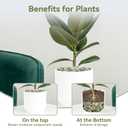 Pulovin 5LB Succulent and Cactus Pebbles, 1/5 Inch Jade Pebbles for Indoor Plants, Decorative Gravel for Vases, Bamboo, Succulent, Terrarium, Crafts, Cactus