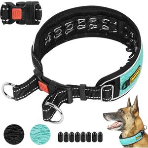 Mayerzon Martingale No Pull Collar for Large Medium Dogs Pitbull German Shepherd Rottweilers, Patented Reflective Anti Pull Dog Walking Collar with Buckle for Training Hiking, Adjustable (L, Cyan)  