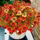 Thinktral Artificial Mums Fall Flowers for Outdoors, Fake Mums UV Resistant Outdoor Artificial Plants, Faux Silk Flowers Plants for Porch,Garden, Patio,Window Box Decoration