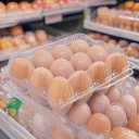 120pc 3*4 Clear Plastic Cheap Bulk Egg Cartons,12 Large Egg Carton | Cheapest 12 count Large Plastic Egg Cartons，Can Hold 2.5 oz of Eggs,Suitable For Farmers' Markets, Supermarkets, Kitchens.