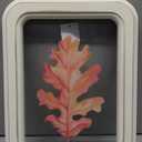 HH 118in Clear Wall Sign Leaf Yellow