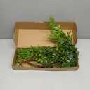 ACJRYO 43" Artificial Greenery Stems (3Pcs) - Realistic Faux Nandina Branches for Vase Fillers, Home Office Wedding Decor, Indoor &Outdoor Fake Plants, Bendable & Weather Resistant