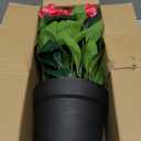 Artificial Impatiens Flowers for Outdoor Faux Flowers 14 Inch Fake Flowers Spring Summer Decoration for Home Front Door Garden Planter Patio Balcony Yard Indoor Outdoor (Rose Red)