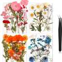 Nuanchu Dried Flower for Crafts Resin Pressed Flowers Bulk, Real Dried Wildflowers Leave Natural with Tweezer for Resin Mold Scrapbooking Nail Soap Candle Cake Card Making Christmas Craft DIY Supplies (Blend Color)