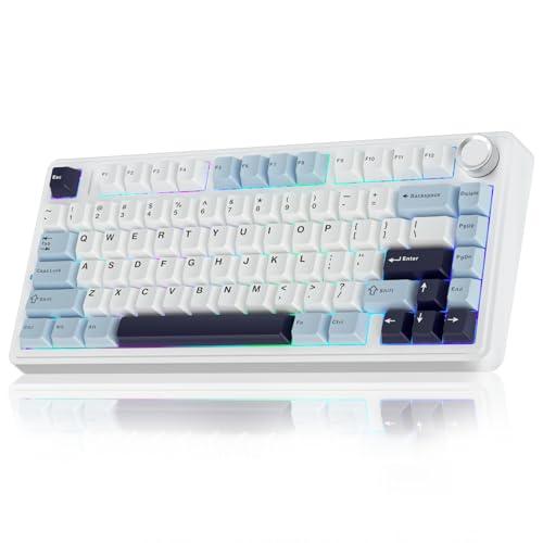 AULA F75 75% Wireless Mechanical Keyboard, Hot Swappable Creamy Keyboard, Pre-lubed Reaper Switches, 2.4GHz/Type-C/BT5.0, RGB Backlit Gaming Keyboards(White & Blue)