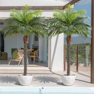 5ft Artificial Phoenix Palm Tree for Outdoor Indoor Decor, Faux Coconut Silk Palm Tree Tropical Fake Tree Plant for Outside Patio Indoor Home Office Bathroom Pool Coastal Decor (Set of 2)