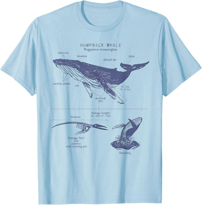 Humpack Whale Anatomy Marine Biology T-Shirt, Size S