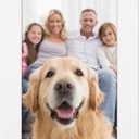 12x16 Mat for 16x20 Frame - Precut Mat Board Acid-Free White 12x16 Photo Matte Made to Fit a 16x20 Picture Frame, Premium Matboard for Family Photos, Show Kits, Art, Picture Framing, Pack of 1 Mat