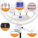 22"Ring Light with Stand,Ring Light Tripod for iPhone ipad,with 75"Tripod/LCD Display/4 ipad iPhone Clips/2 USB Ports,2600K-6500K Color Temperature,for Barber Makeup Tattoo TikTok Video Recording Vlog