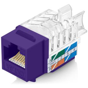 Everest 45 Angled RJ45 Cat6A Keystone Jacks 10-Pack in Purple - Slim Profile Female RJ45 Connectors - Cat 6A Keystone Jack - Compatible with 45 Angled Speed Termination Tool - 45Term (B0BL3GS7ZY)