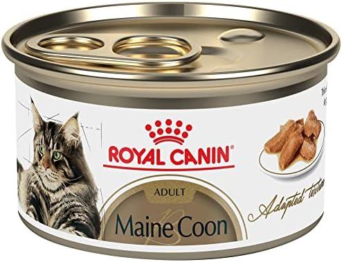 Royal Canin Feline Breed Nutrition Maine Coon Adult Thin Slices in Gravy Canned Cat Food, 3 oz can (22-count) (Best By Apr 26 2027)