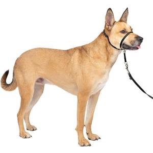 PetSafe Gentle Leader No-Pull Dog Headcollar - The Ultimate Solution to Pulling - Redirects Your Dog's Pulling for Easier Walks - Helps You Regain Control - Medium, Black