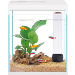 Pronetcus Betta Fish Tank, 2 Gallon Glass Aquarium Starter Kit, Small Fish Tank with Filter and Light.(White)