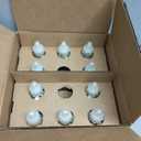 Air Wick Plug in Scented Oil Refill, 10ct, Summer Delights, Scented Oil, Air Freshener, Essential Oils, Eco Friendly