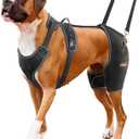 CHAMIN/RISURRY Dog Hip Brace Support for Hip Dysplasia, Arthritis, Back Leg limping, Rear Leg Brace with Back Handheld Design to Reduce Hip Pain et (Large)