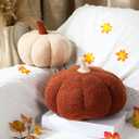 Queekay 2 Pcs Thanksgiving Pumpkin Pillow Pumpkin Decor for Friendsgiving Party Fall Home Thanksgiving Throw Pillow Cushion for Friends Holiday Operation Christmas Sofa Couch(White,Brown)