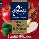 Glade 1-Wick Scented Candle Jar, Warm Apple & Spices, Air Freshener Infused with Essential Oils, 4.08 Oz, 2 Count