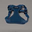 Best Pet Supplies Voyager Adjustable Step-in Flex Breathable Mesh Dog Harness for Small Medium Large Dogs (Turquoise), XS