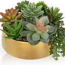 DILATATA Artificial Succulent Plants in Pot 5.5 Inch Fake Succulents Arrangement Potted Plant in Gold Ceramic Planter Bowl for Home Office Desk Shelf Living Room Bedroom Bathroom Decor