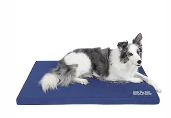 Warfort Durable Outdoor Dog Bed Stable Crate Mat Indoor cat Bed Anti Mild Bite Kennel Pad with Removable Fully Waterproof Cover (Blue, Medium(30x19x1.5in))