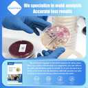Mold Test Kit for Home,7 Simple Detection Tests, Test HVAC System, Home Surfaces, Indoor Air Quality Testing, DIY Mold Detector for Home, Includes Detailed Mold Identification Guide, Black Mold Testing Kit