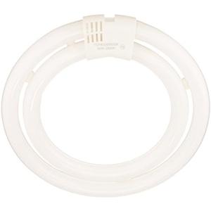 TCP CFL Double Circle Lamp, 200W Equivalent, Bright White (3500K) T6 Circline Lamp