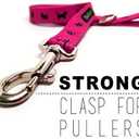 EcoBark Dog Leash - Soft & Reflective Comfort Training Leashes with Padded Handle - Strong Durable Heavy Duty - Training and Pulling for Small, Medium or Large Dogs (Pink)