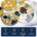 Mold Testing Kit with 10 Individual Tests - DIY Mold Test Kit for Home - Includes Detailed Mold Identification Guide - Fast and Reliable Mold Detector for Home