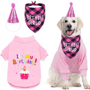 Dog Birthday Party Outfit Decoration Set Supplies - Birthday Bandana, Sweater & Party Hat Gift for Small, Medium & Extra Large Dogs Girl and Boy (Small, Birthday Pink)